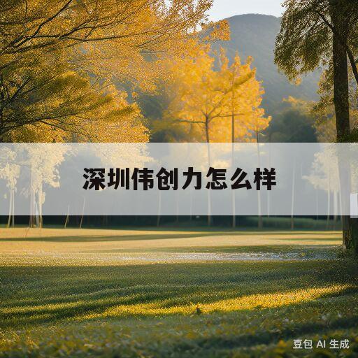 深圳伟创力怎么样