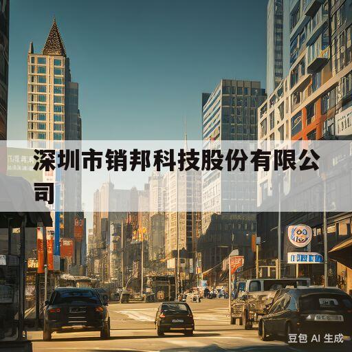 深圳市销邦科技股份有限公司